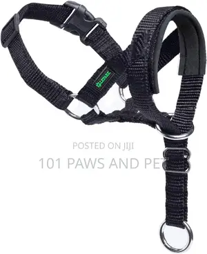 Dog Head Collar