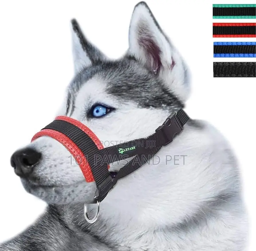 Dog Head Collar