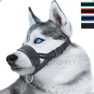 Dog Head Collar