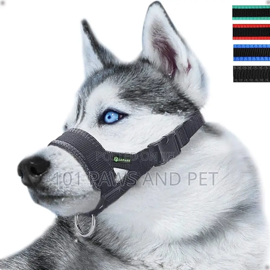 Dog Head Collar