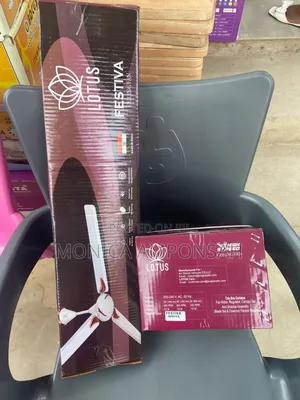 Loutside Ceiling Fan