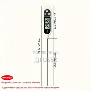 Digital Thermometer
