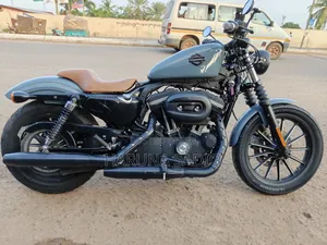 Harley-Davidson Touring 2019 Beige