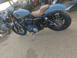 Harley-Davidson Touring 2019 Beige