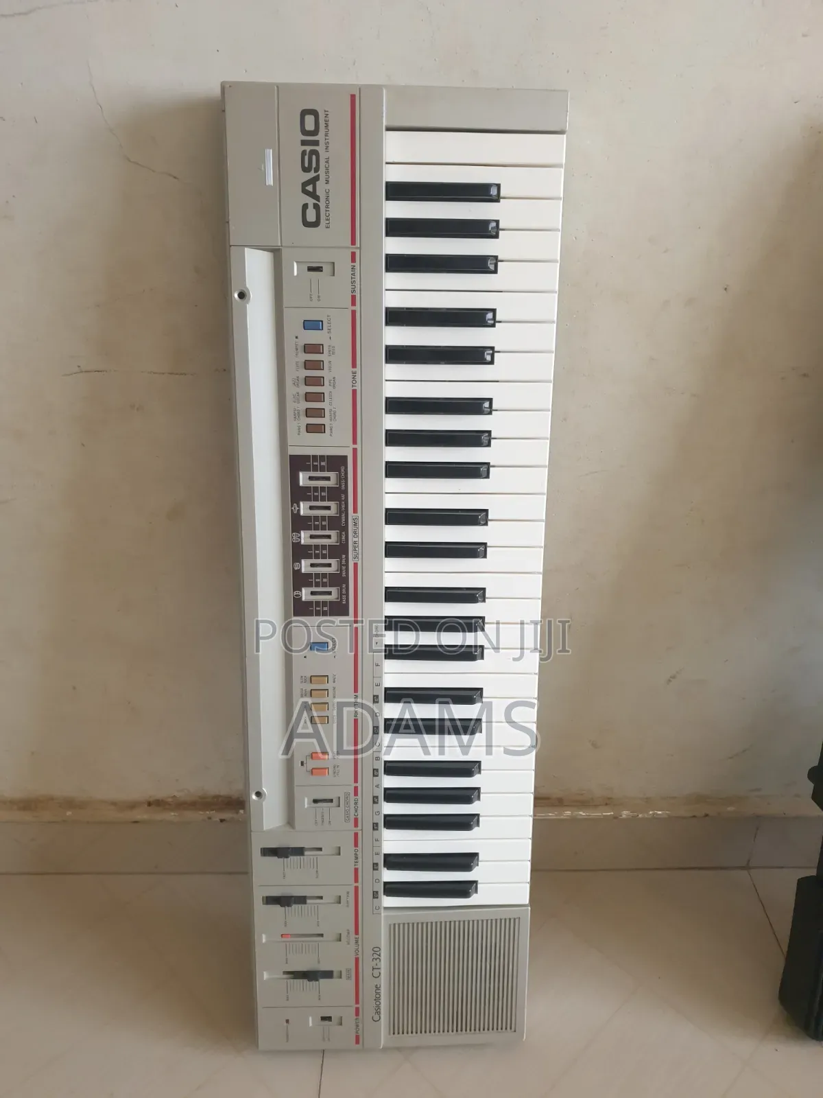 Casio Electric Organ