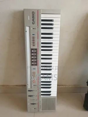 Casio Electric Organ