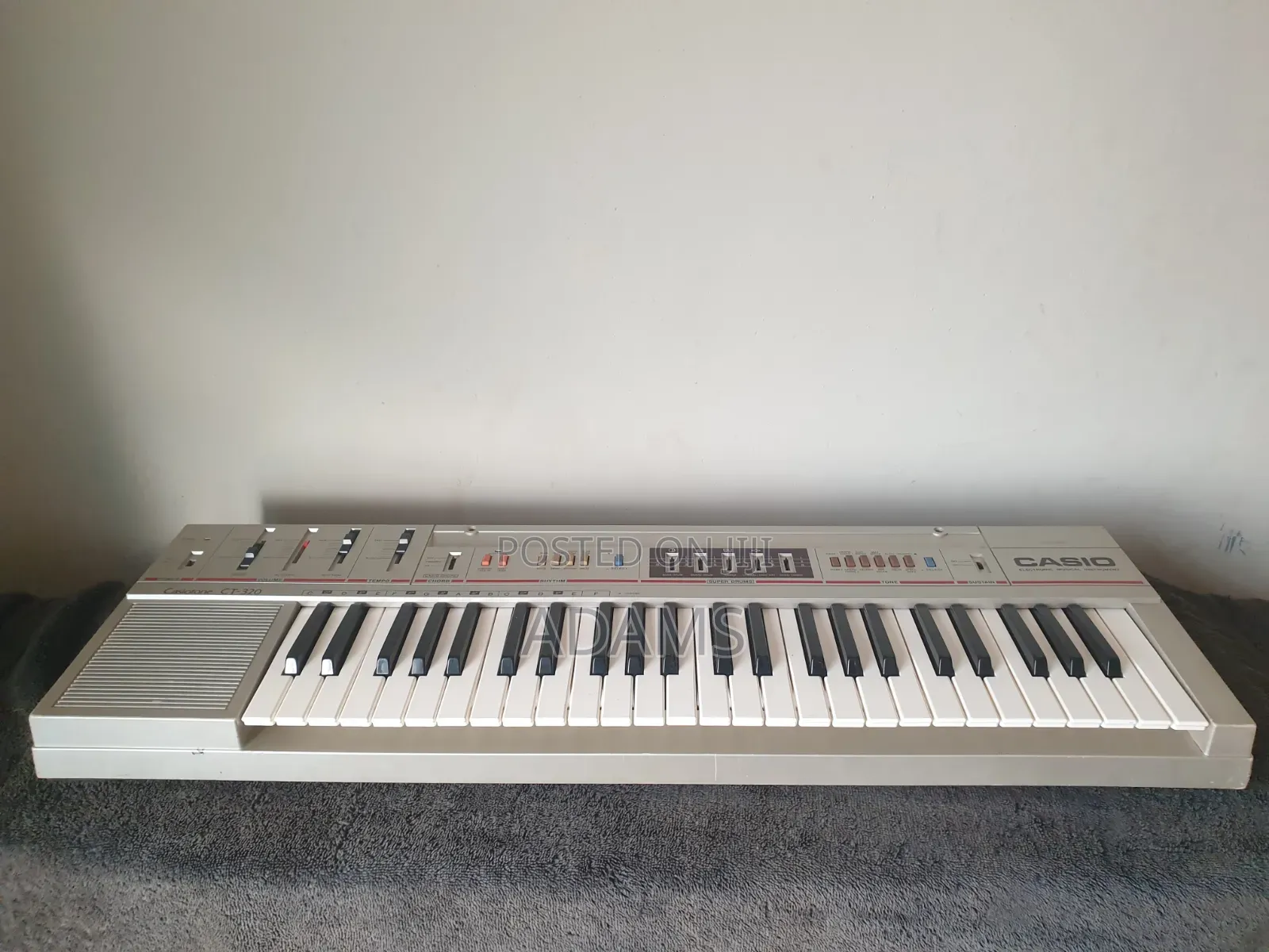 Casio Electric Organ