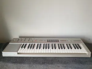 Casio Electric Organ