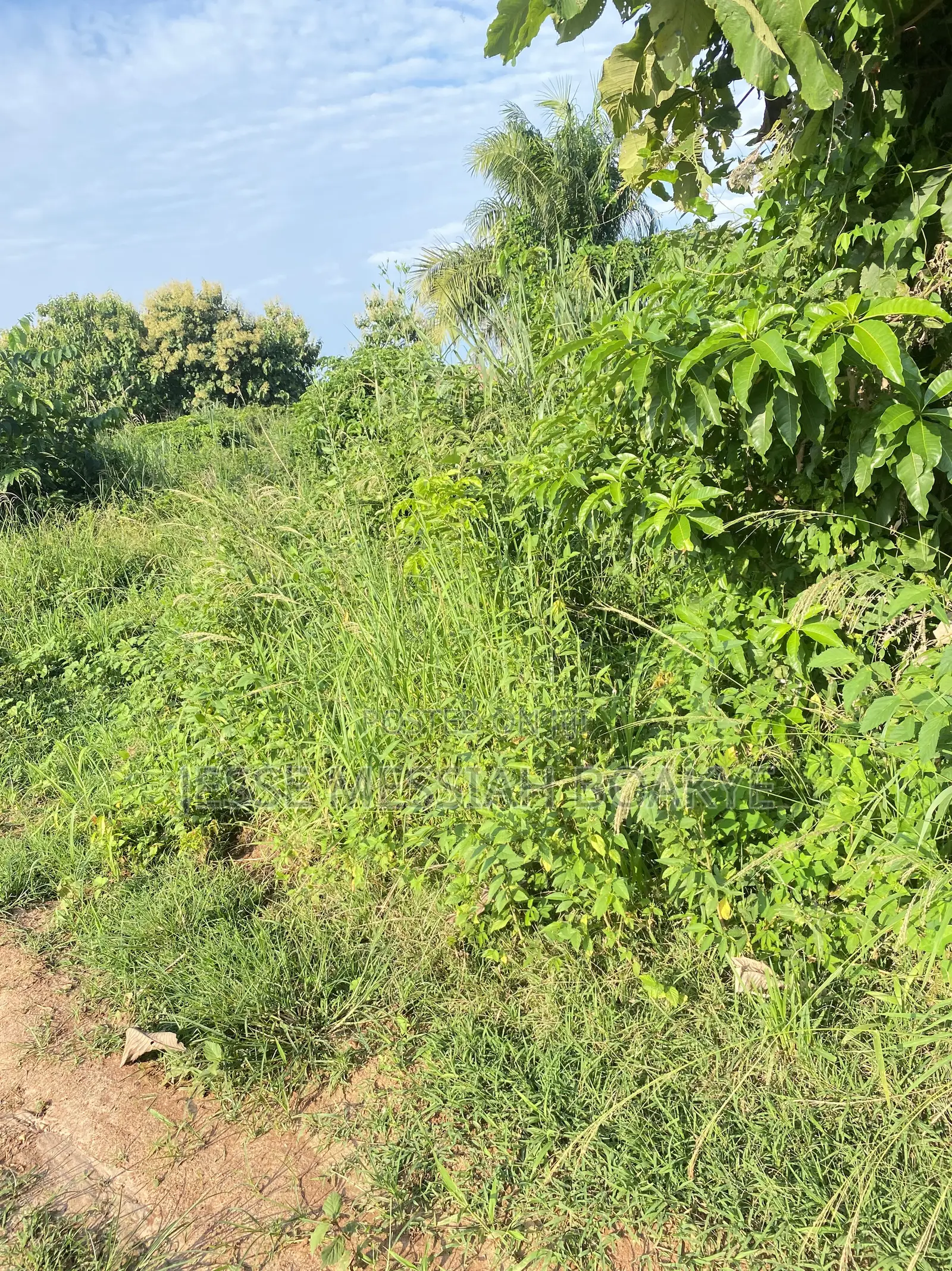 22 Acres Land for Sale