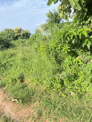 22 Acres Land for Sale