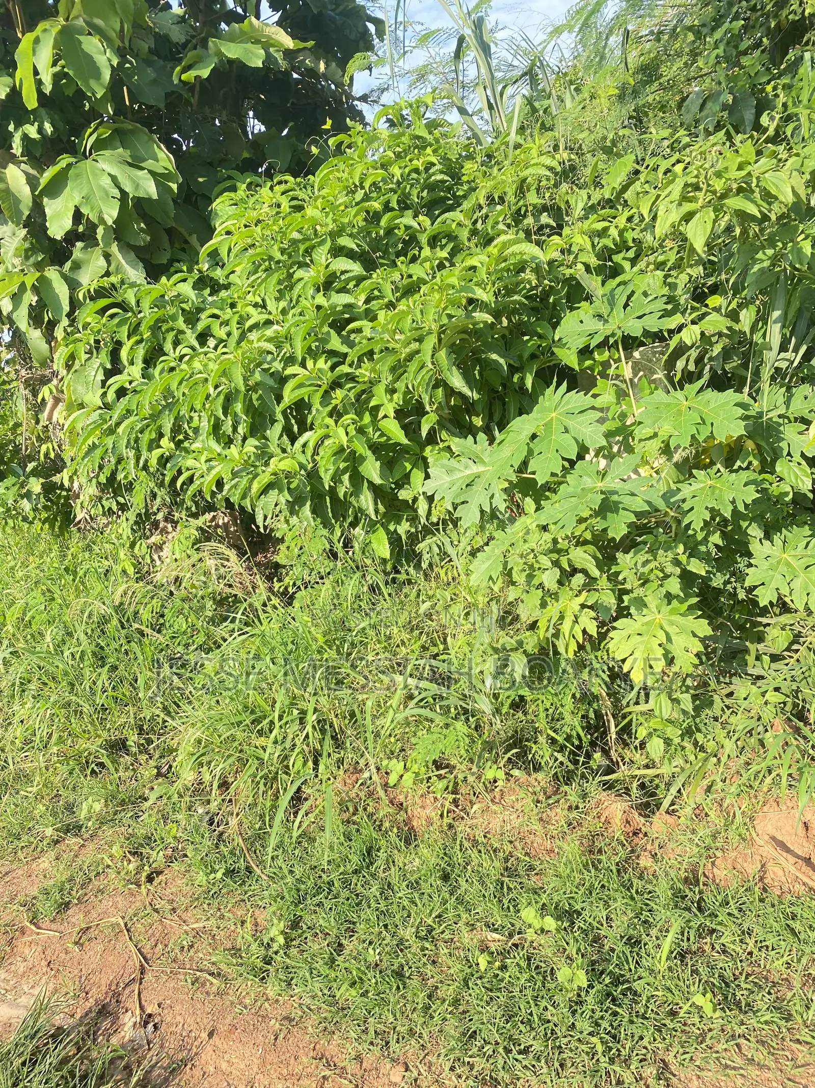 22 Acres Land for Sale