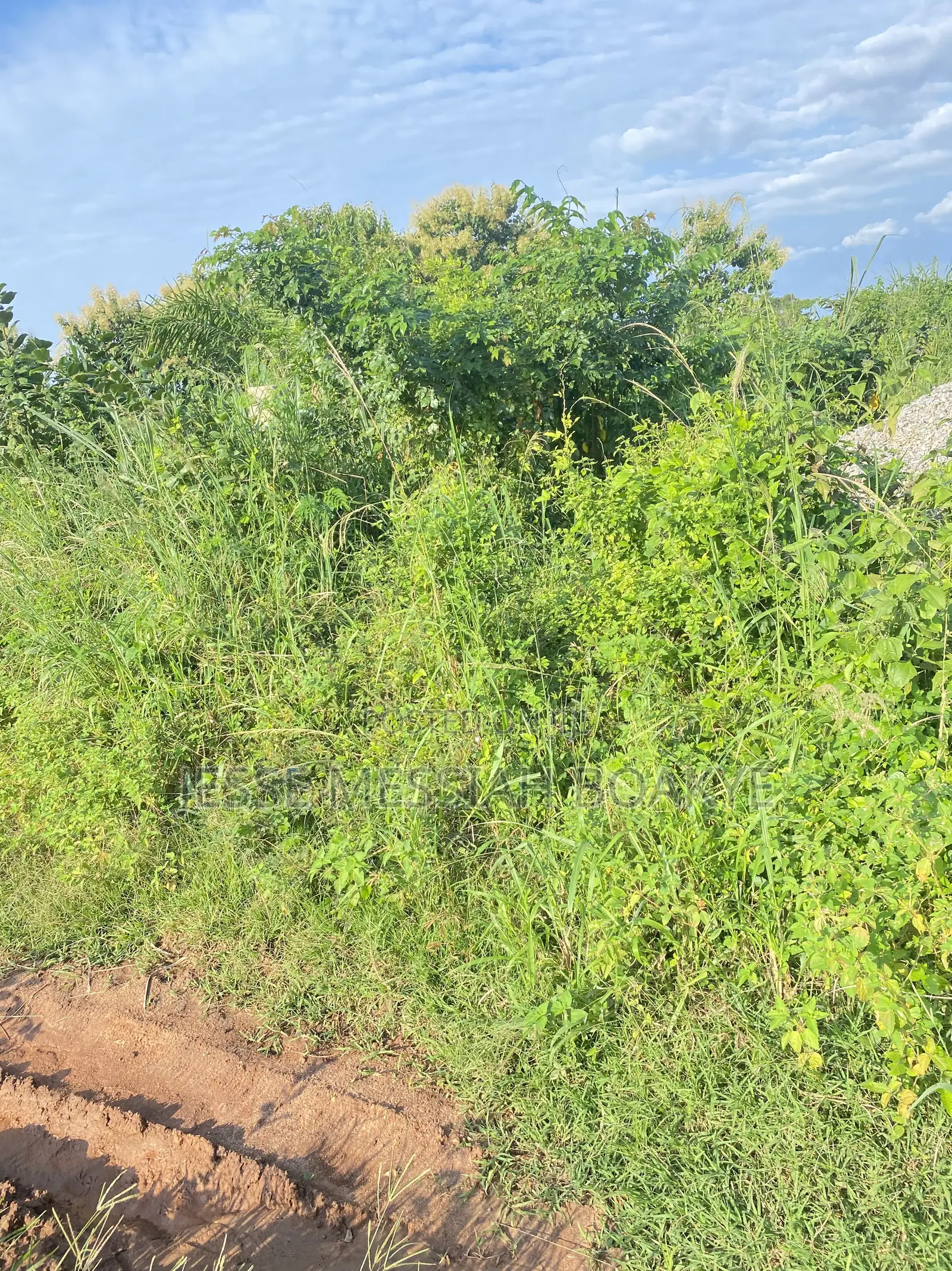 22 Acres Land for Sale