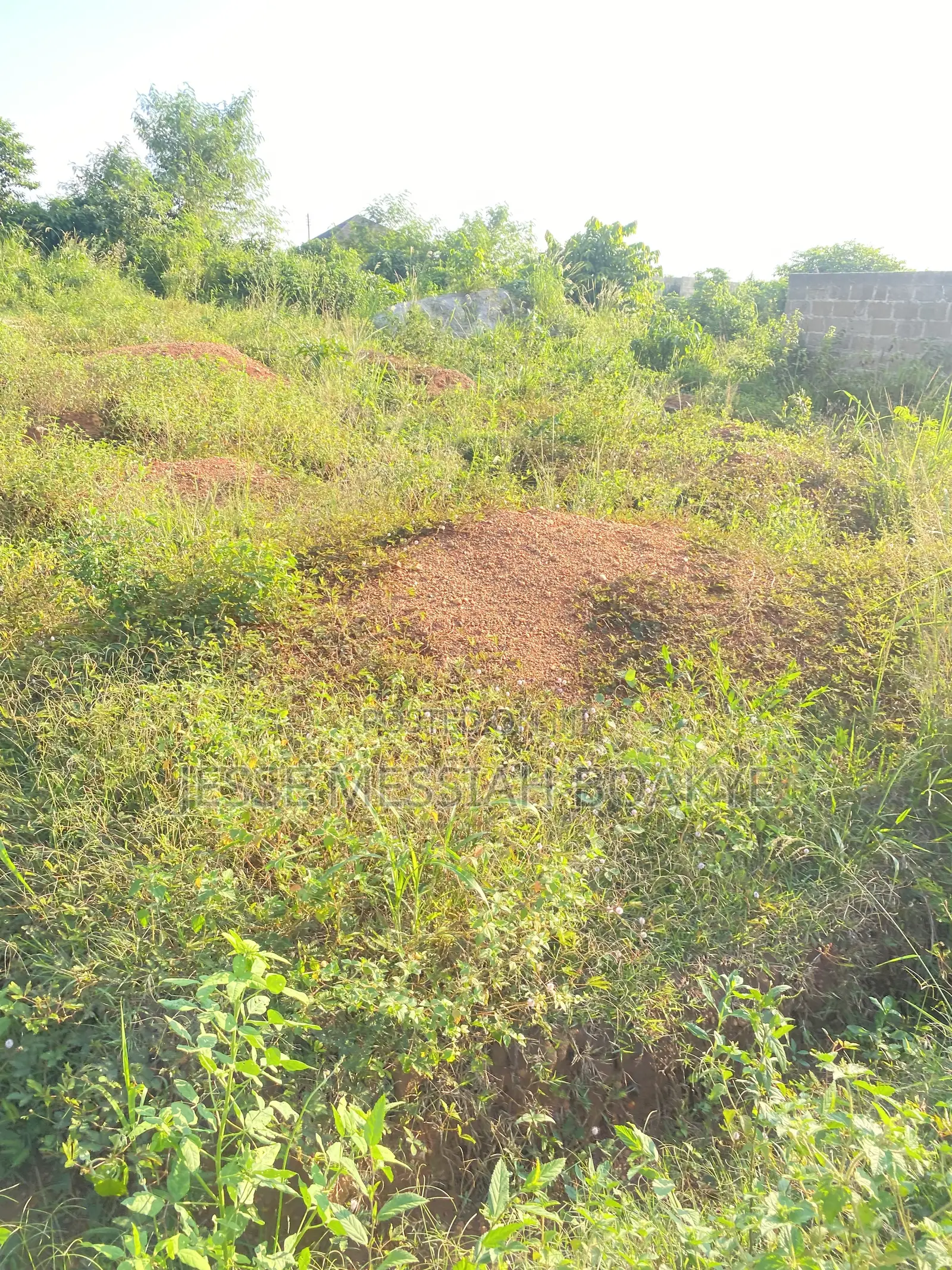 22 Acres Land for Sale