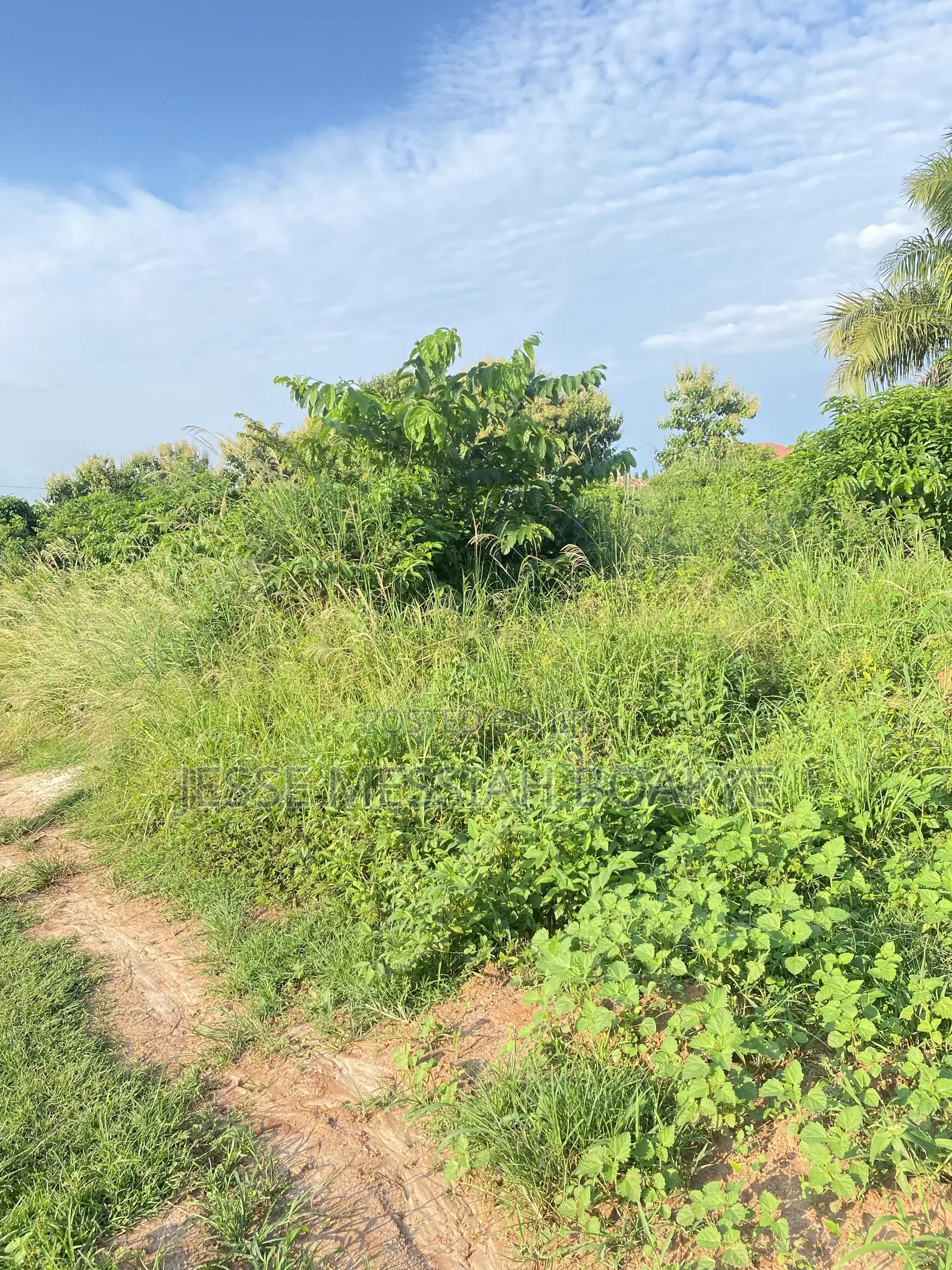 22 Acres Land for Sale