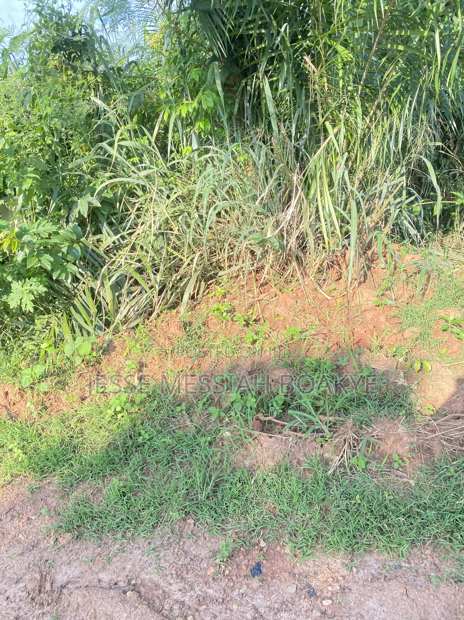 22 Acres Land for Sale