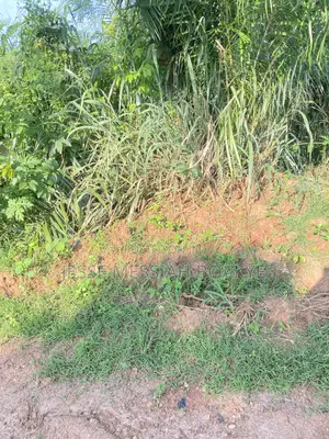 22 Acres Land for Sale