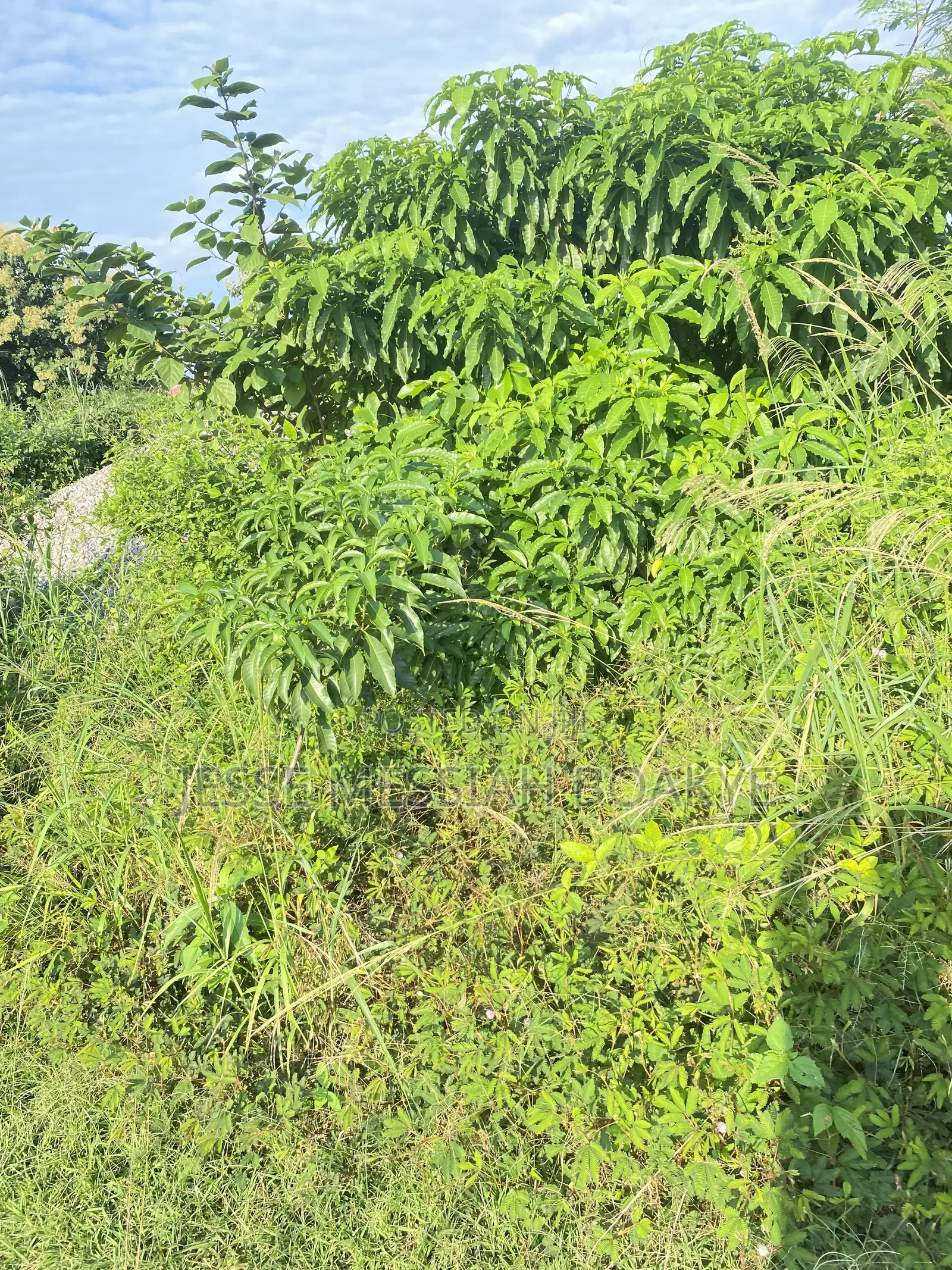 22 Acres Land for Sale