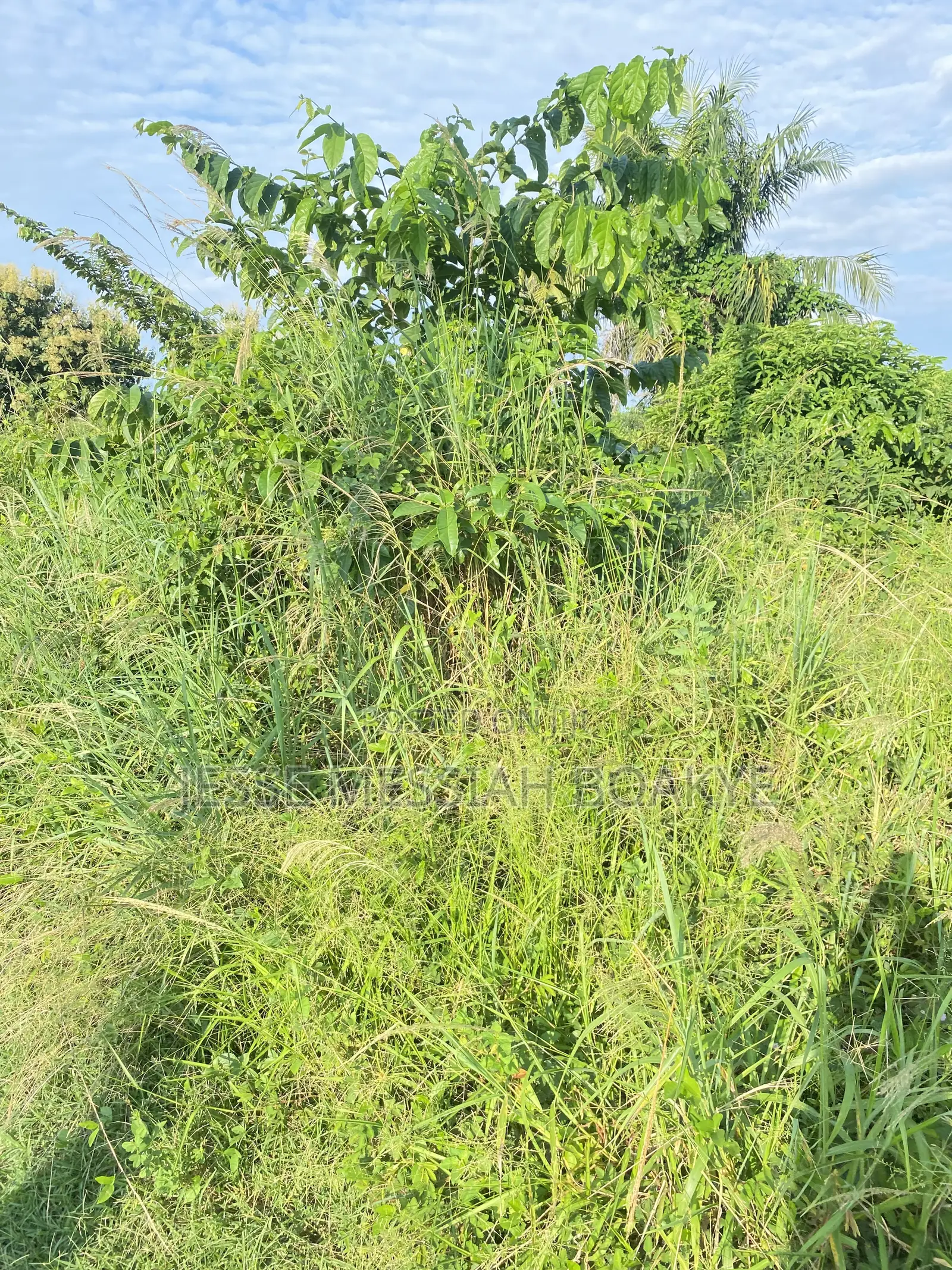 22 Acres Land for Sale