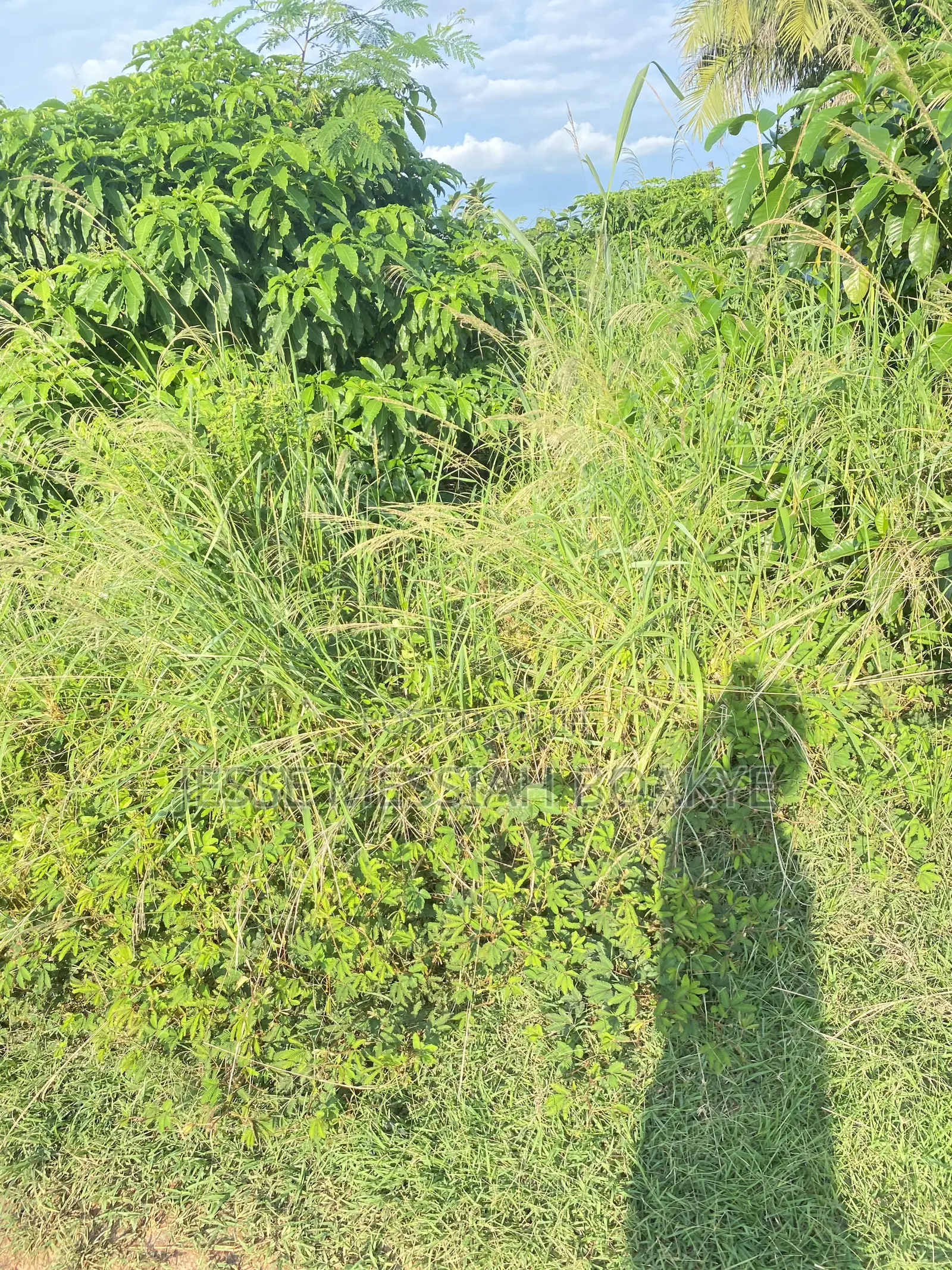 22 Acres Land for Sale