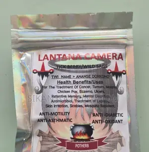 Lantana Camera (Tick Berry / Wild Sage)