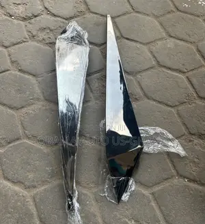 Hyundai Elantra Front Bumper Side Trim Moulding Chrome 2021 2022 2023