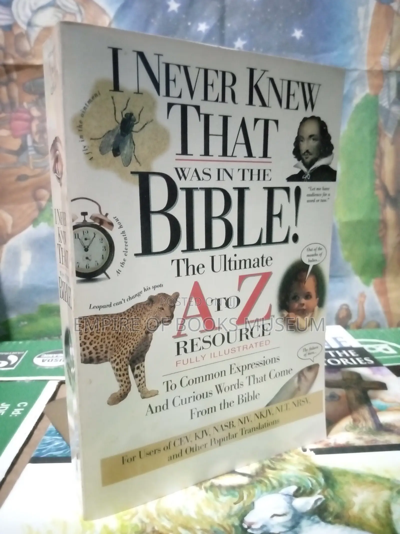 I Never Knew That Was in the Bible (A to Z Series)
