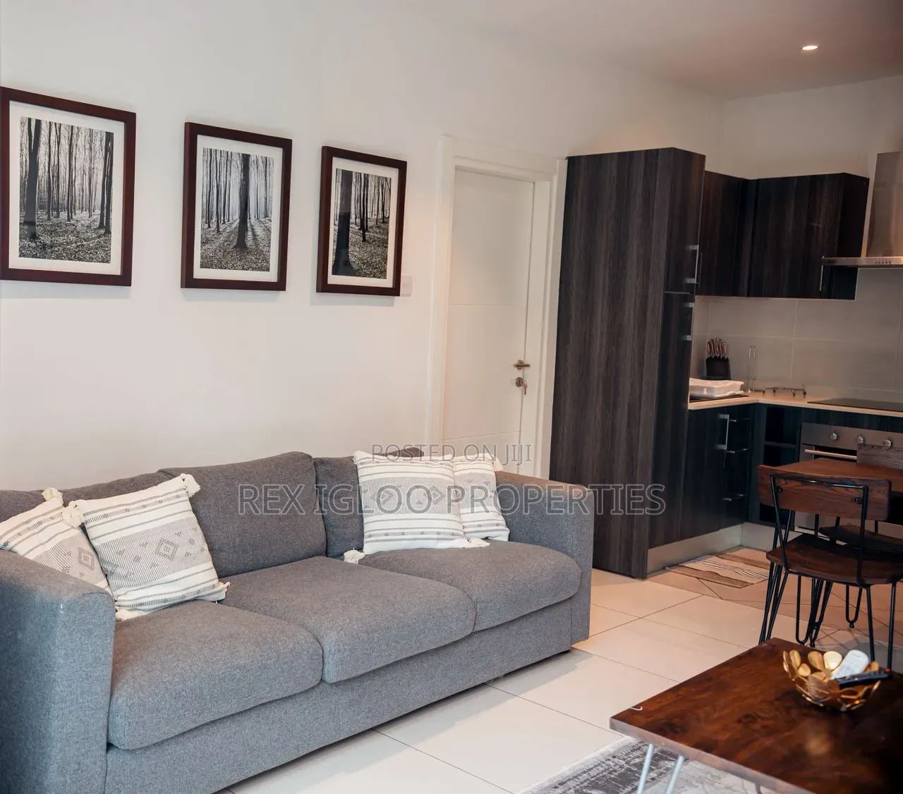 Furnished 1bdrm Apartment in Cantoment, Accra Metropolitan for sale