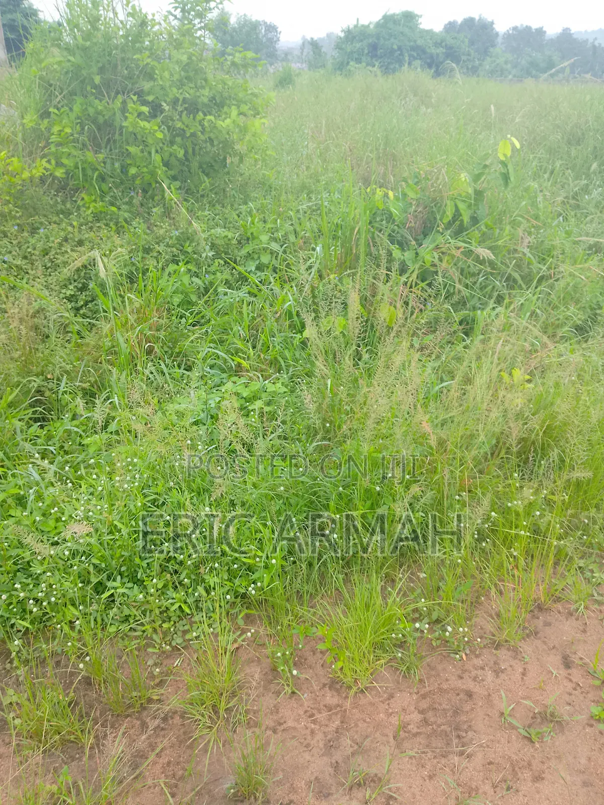 Half Plot of Land for Sale