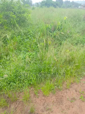 Half Plot of Land for Sale