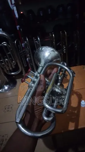 Alto Cornet for Sale