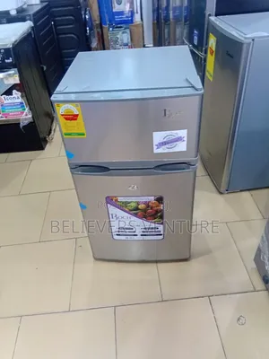 Stylish and Durable Roch Table Top Fridge
