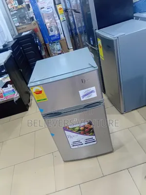 Affordable Roch Compact Refrigerator
