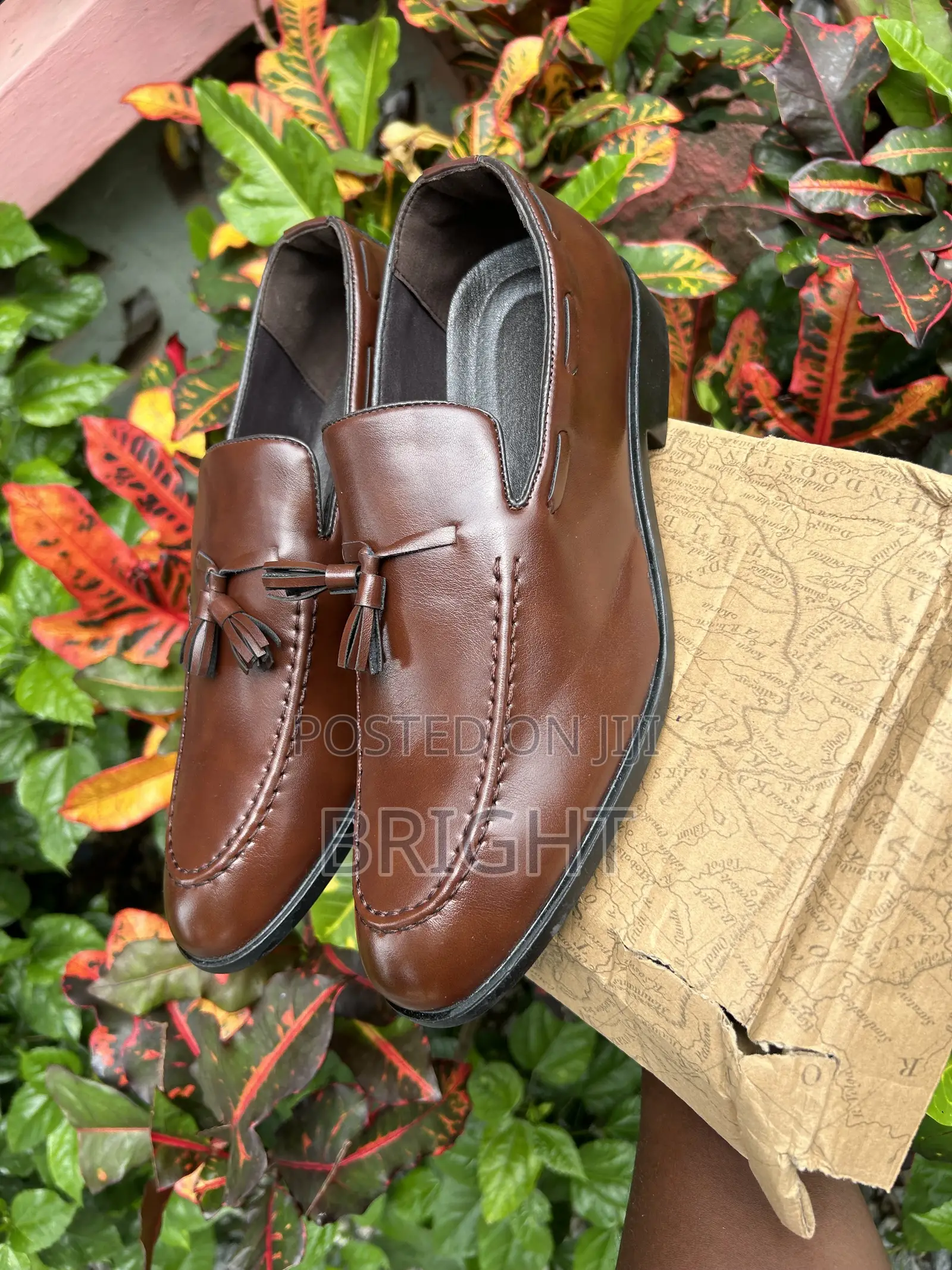 Brand New Official Mens Shoe