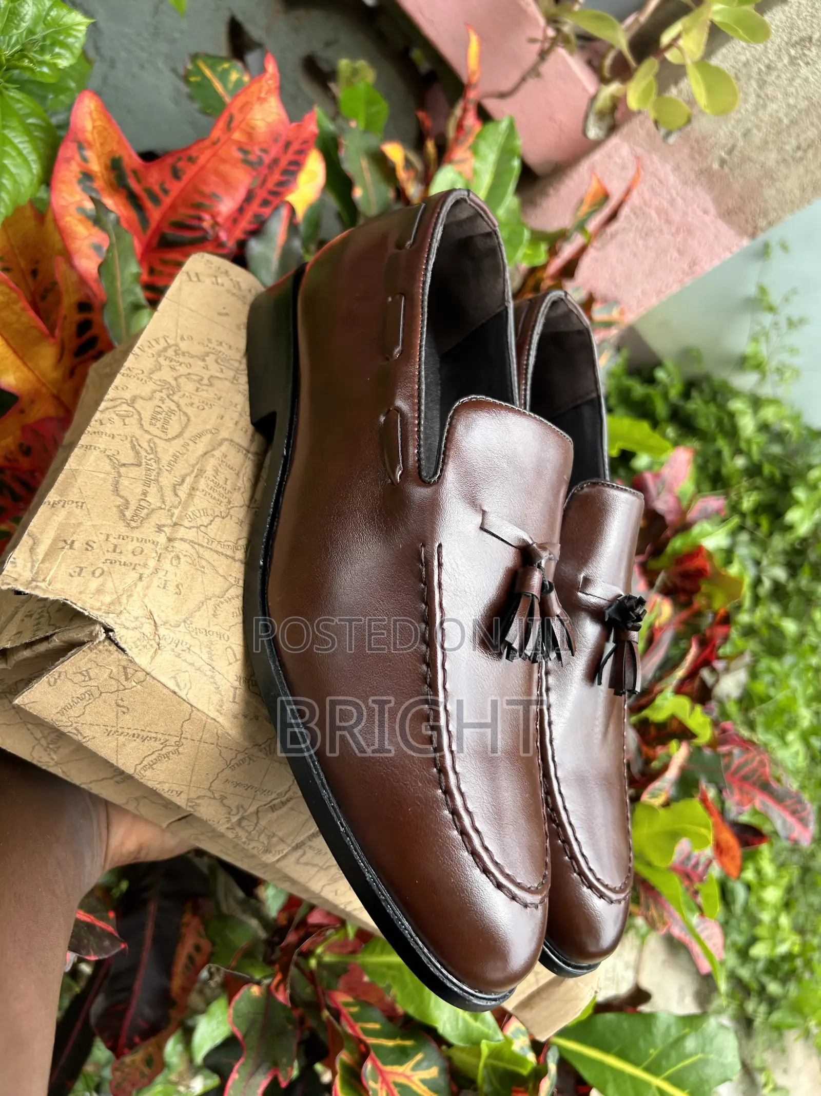 Brand New Official Mens Shoe