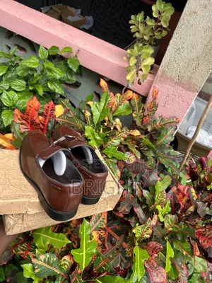 Brand New Official Mens Shoe