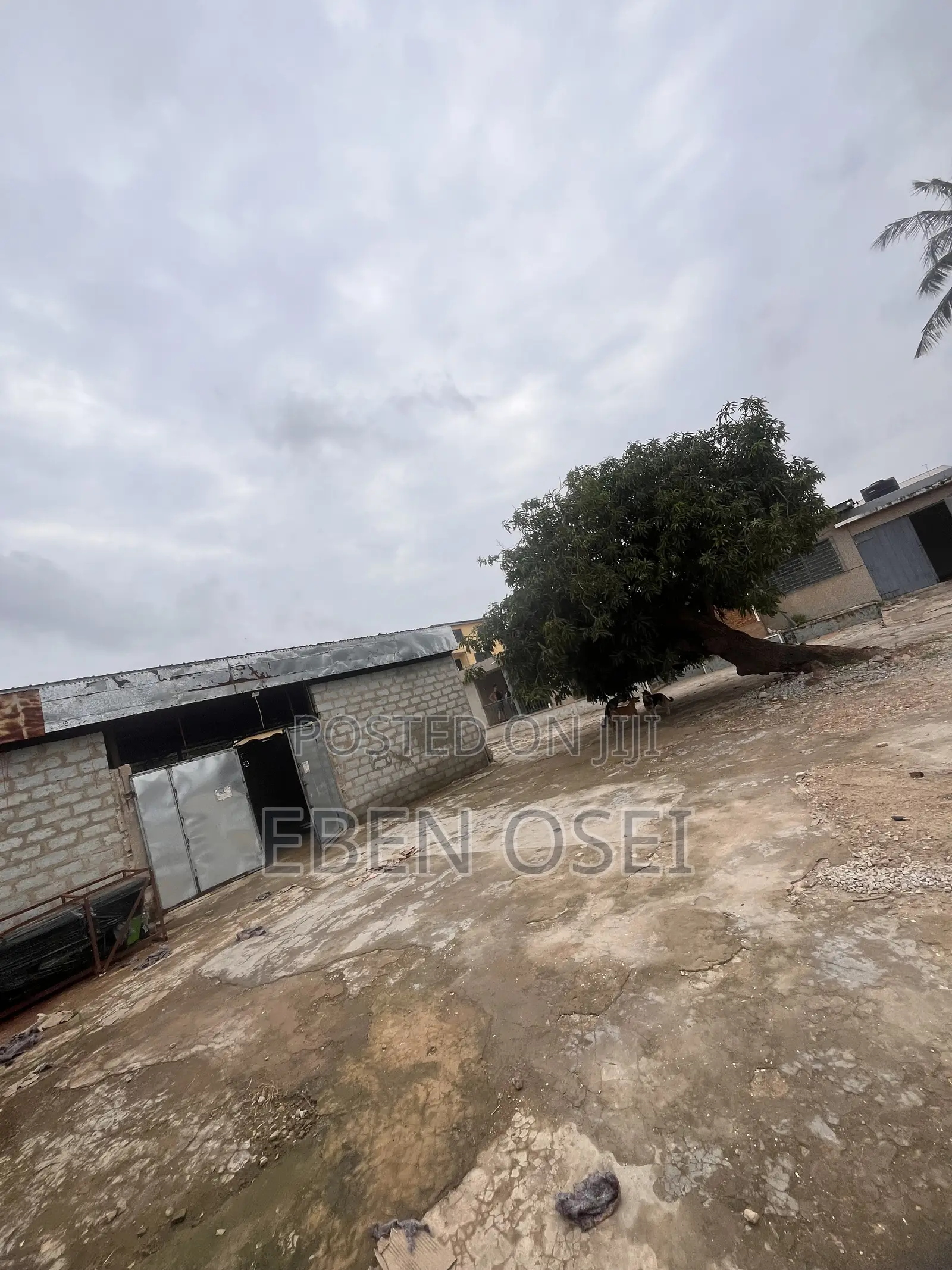 5bdrm House in Dansoman for rent