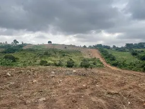 Lands for Sale