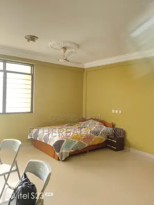 Furnished 8bdrm Apartment in Welja Barrier for rent