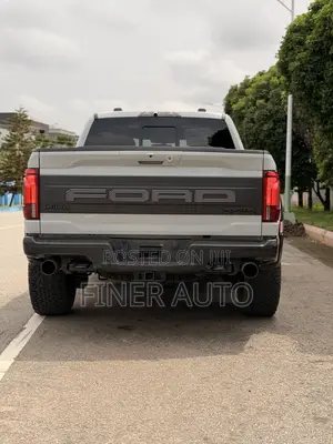 Ford F-150 Raptor 2024 Gray