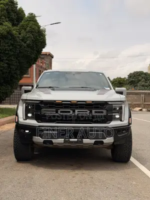 Ford F-150 Raptor 2024 Gray