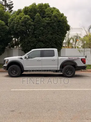 Ford F-150 Raptor 2024 Gray