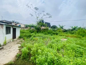 110/60 Land for Sale at Abelemkpe
