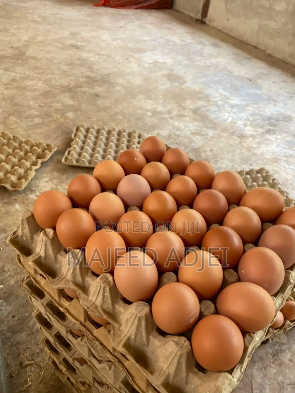 Fresh Farm Eggs