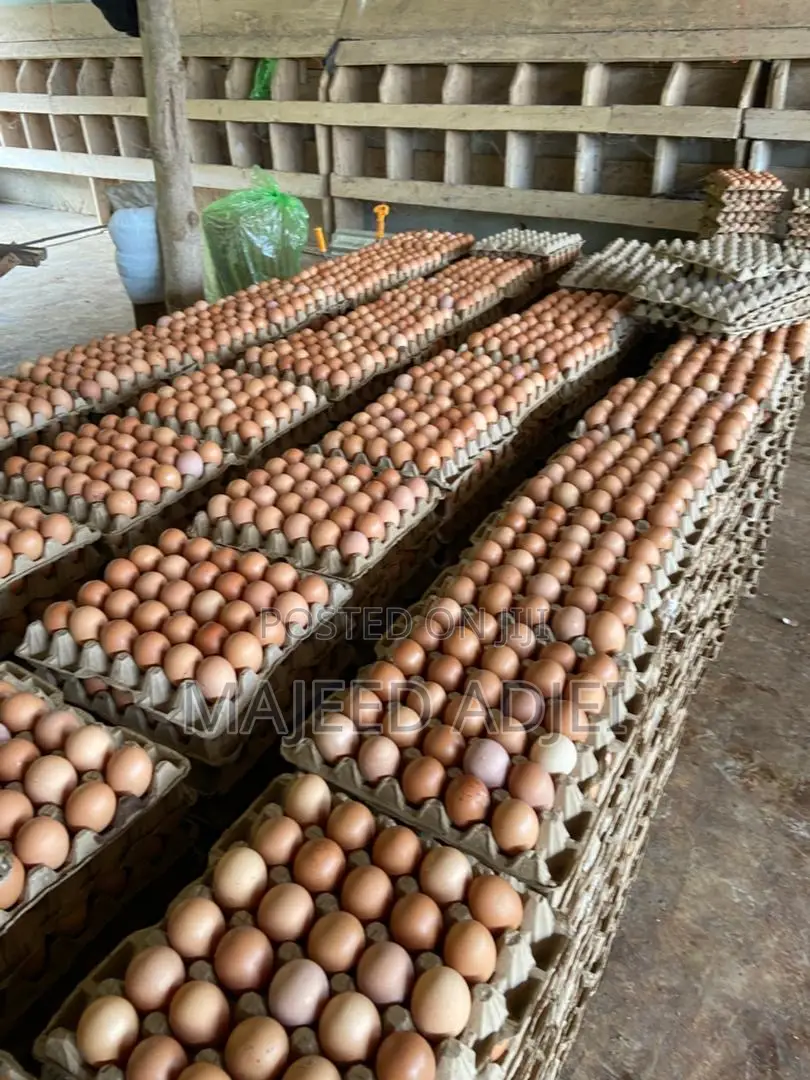 Fresh Farm Eggs