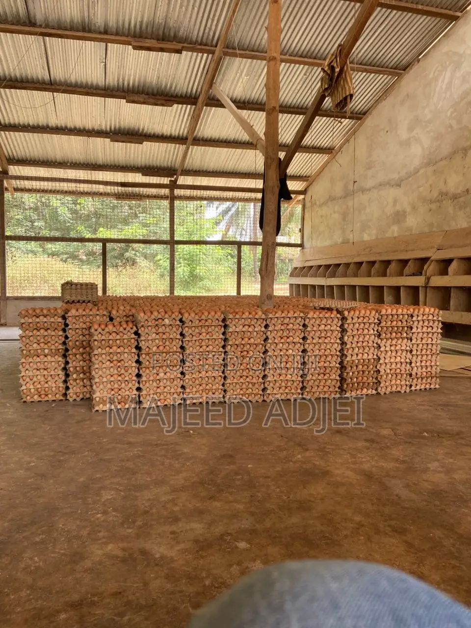 Fresh Farm Eggs