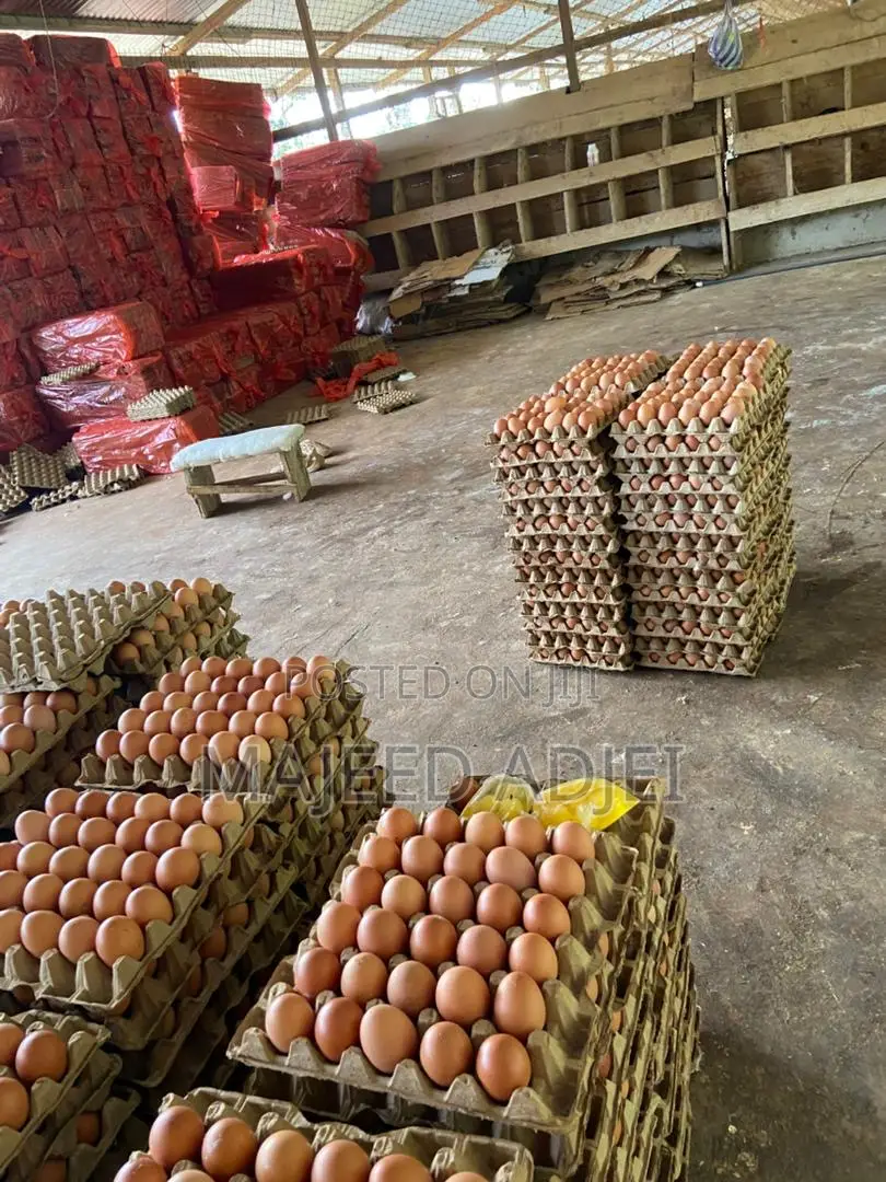 Fresh Farm Eggs