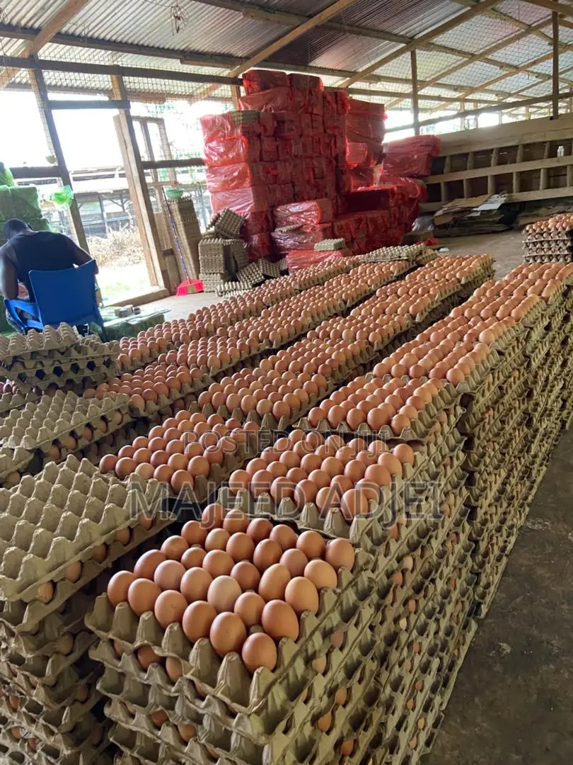 Fresh Farm Eggs
