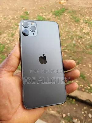 Apple iPhone 11 Pro Max 256 GB Gray