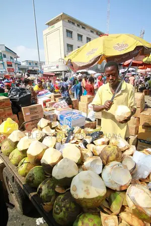 Coconut Sellers ( Kube Sellers)
