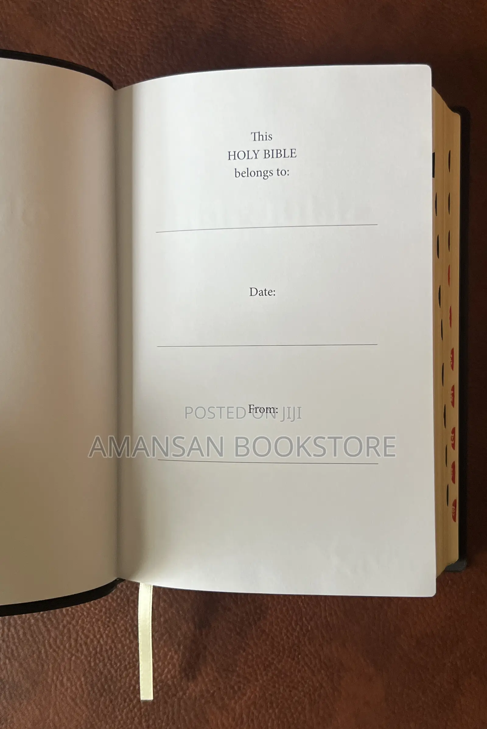 Giant Print Niv Bible